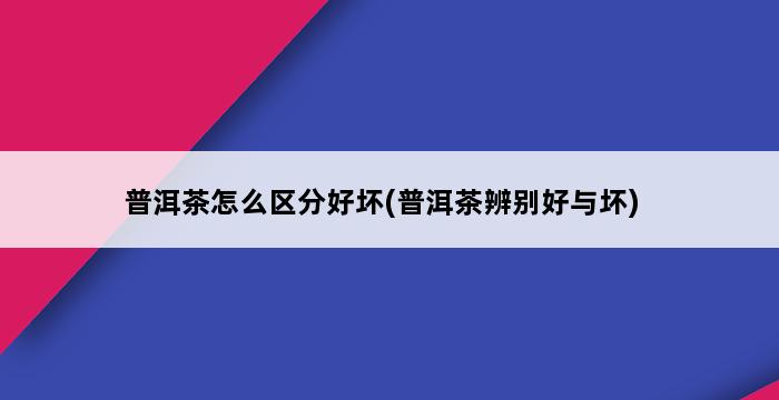 普洱茶怎么区分好坏(普洱茶辨别好与坏) 