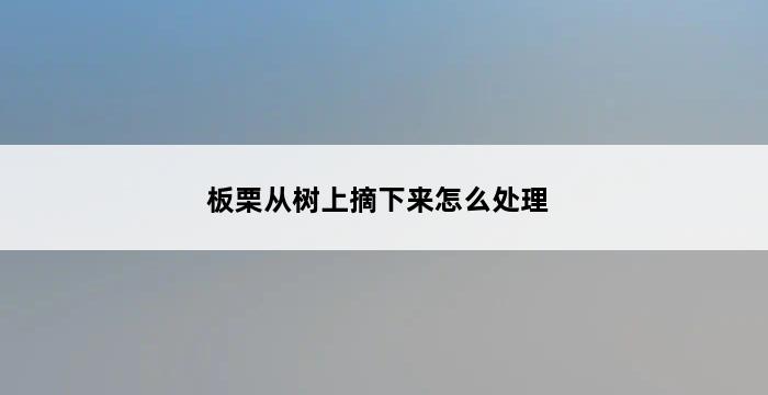 板栗从树上摘下来怎么处理 