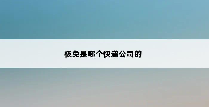 极免是哪个快递公司的 