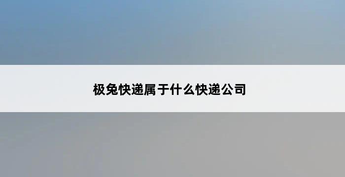 极兔快递属于什么快递公司 