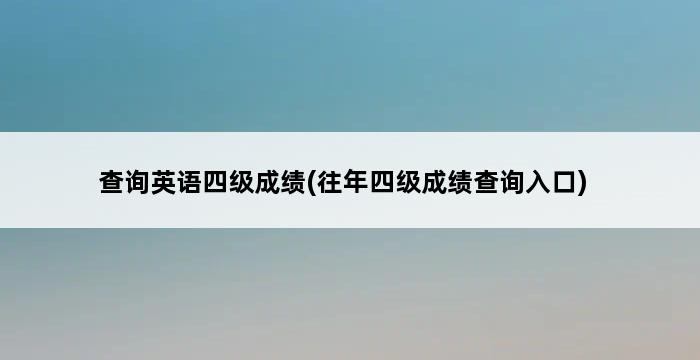 查询英语四级成绩(往年四级成绩查询入口) 