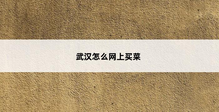 武汉怎么网上买菜 