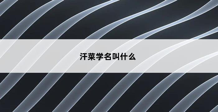 汗菜学名叫什么 