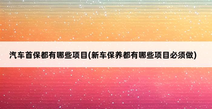 汽车首保都有哪些项目(新车保养都有哪些项目必须做) 