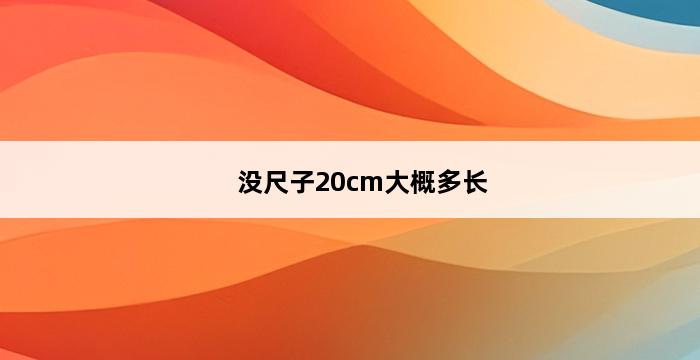 没尺子20cm大概多长 