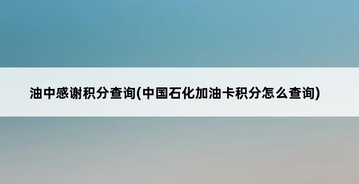 油中感谢积分查询(中国石化加油卡积分怎么查询) 