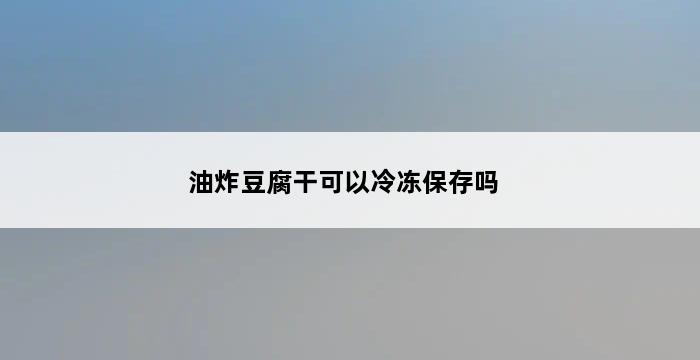 油炸豆腐干可以冷冻保存吗 