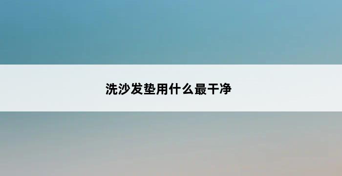 洗沙发垫用什么最干净 