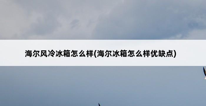 海尔风冷冰箱怎么样(海尔冰箱怎么样优缺点) 