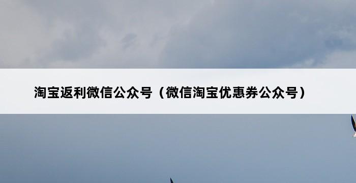 淘宝返利微信公众号（微信淘宝优惠券公众号） 