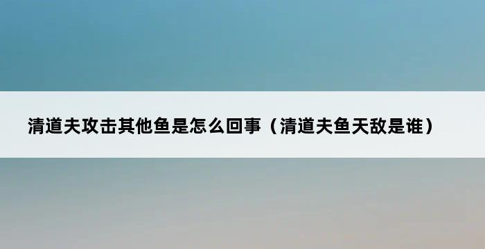 清道夫攻击其他鱼是怎么回事（清道夫鱼天敌是谁） 