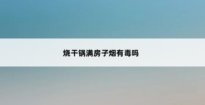 烧干锅满房子烟有毒吗 