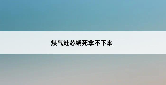 煤气灶芯锈死拿不下来 