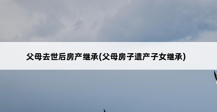 父母去世后房产继承(父母房子遗产子女继承) 