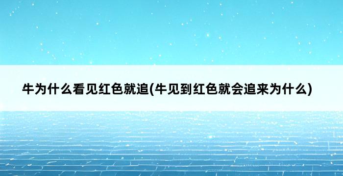 牛为什么看见红色就追(牛见到红色就会追来为什么) 