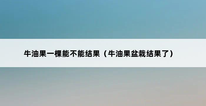 牛油果一棵能不能结果（牛油果盆栽结果了） 