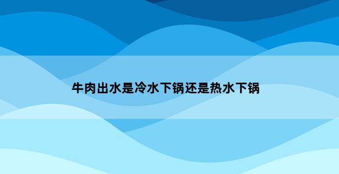 牛肉出水是冷水下锅还是热水下锅 