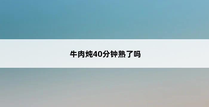 牛肉炖40分钟熟了吗 