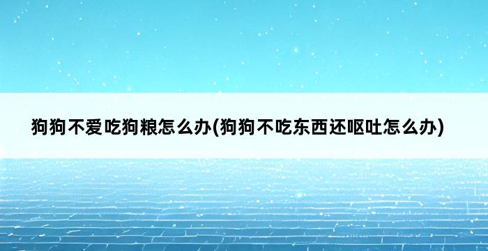 狗狗不爱吃狗粮怎么办(狗狗不吃东西还呕吐怎么办) 