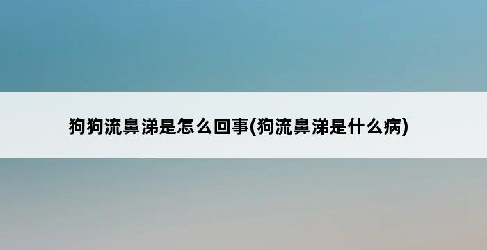 狗狗流鼻涕是怎么回事(狗流鼻涕是什么病) 