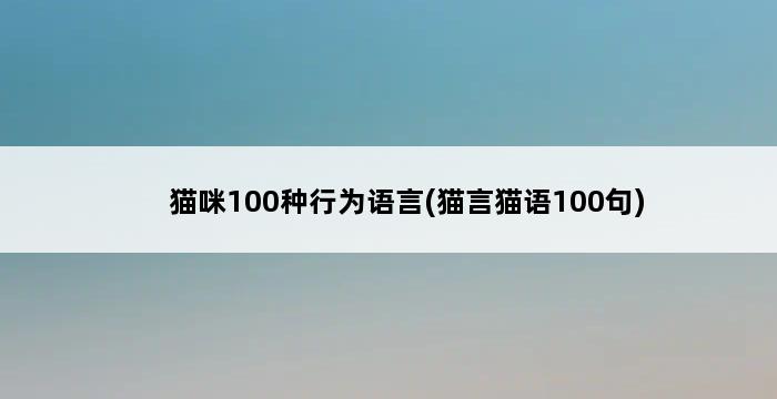 猫咪100种行为语言(猫言猫语100句) 