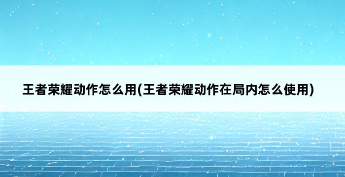 王者荣耀动作怎么用(王者荣耀动作在局内怎么使用) 