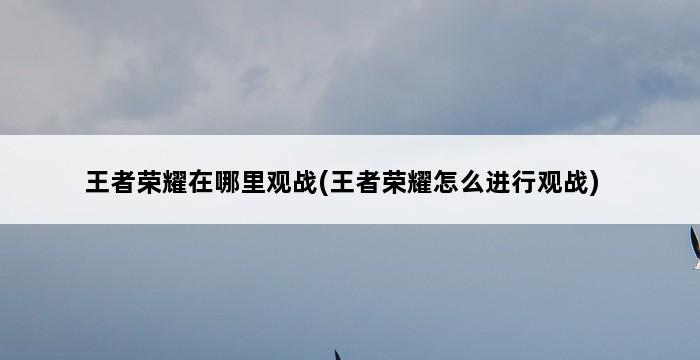 王者荣耀在哪里观战(王者荣耀怎么进行观战) 