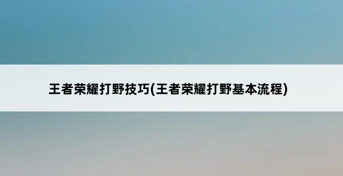 王者荣耀打野技巧(王者荣耀打野基本流程) 