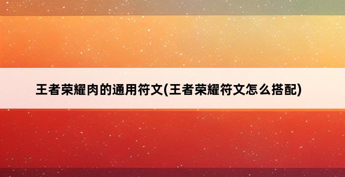 王者荣耀肉的通用符文(王者荣耀符文怎么搭配) 