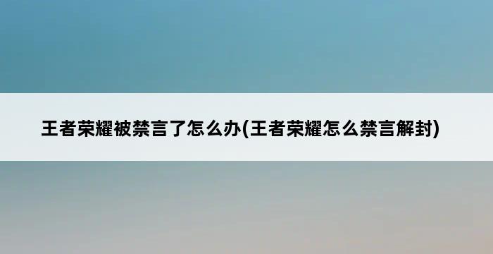 王者荣耀被禁言了怎么办(王者荣耀怎么禁言解封) 