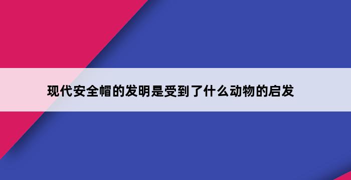 现代安全帽的发明是受到了什么动物的启发 