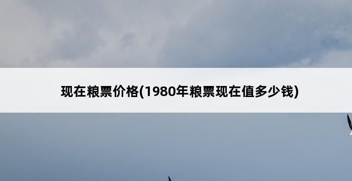 现在粮票价格(1980年粮票现在值多少钱) 