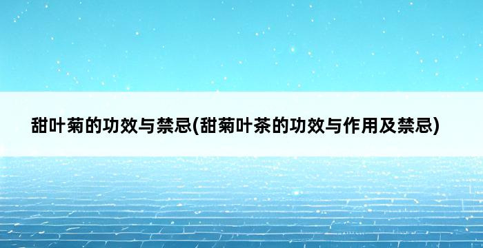 甜叶菊的功效与禁忌(甜菊叶茶的功效与作用及禁忌) 