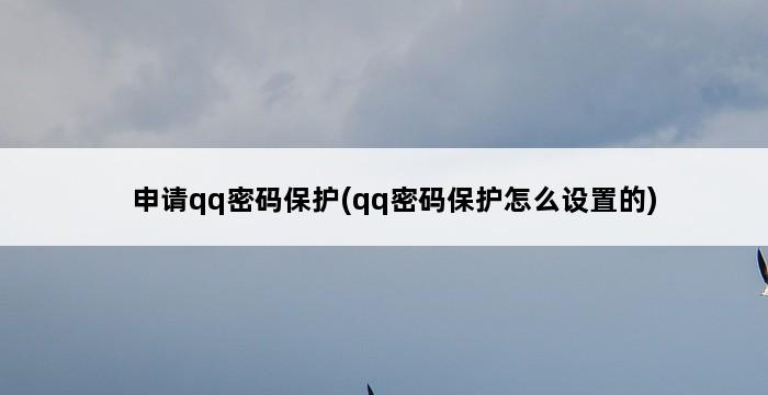 申请qq密码保护(qq密码保护怎么设置的) 