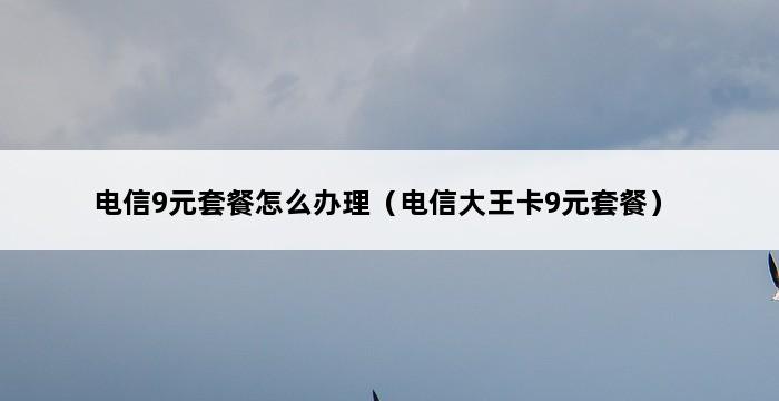 电信9元套餐怎么办理（电信大王卡9元套餐） 