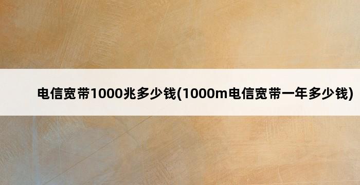 电信宽带1000兆多少钱(1000m电信宽带一年多少钱) 