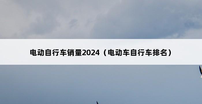 电动自行车销量2024（电动车自行车排名） 