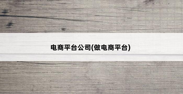 电商平台公司(做电商平台) 