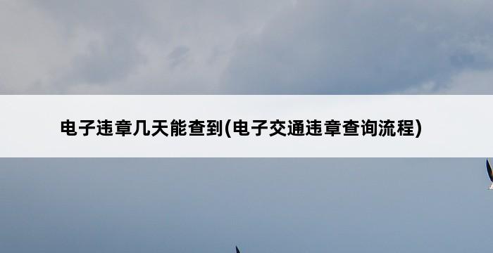 电子违章几天能查到(电子交通违章查询流程) 