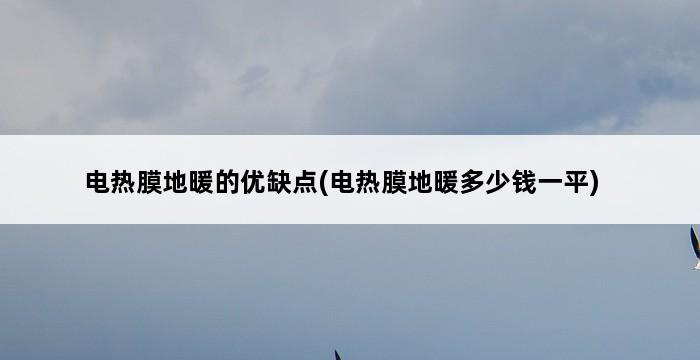 电热膜地暖的优缺点(电热膜地暖多少钱一平) 