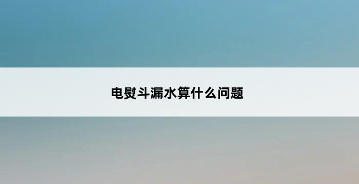 电熨斗漏水算什么问题 