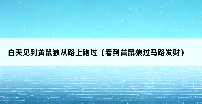 白天见到黄鼠狼从路上跑过（看到黄鼠狼过马路发财） 