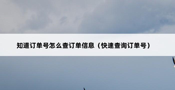 知道订单号怎么查订单信息（快速查询订单号） 