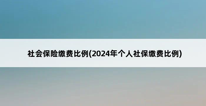 社会保险缴费比例(2024年个人社保缴费比例) 