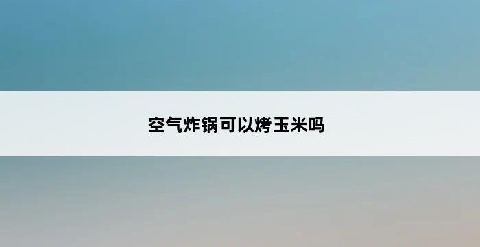 空气炸锅可以烤玉米吗 