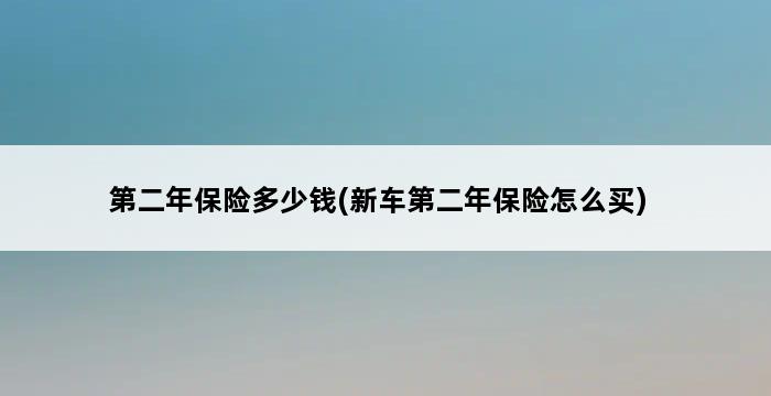 第二年保险多少钱(新车第二年保险怎么买) 