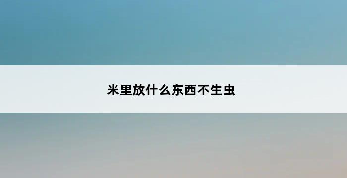 米里放什么东西不生虫 