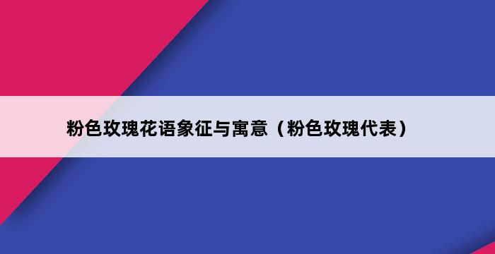 粉色玫瑰花语象征与寓意（粉色玫瑰代表） 