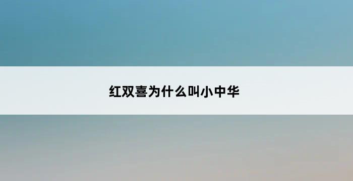 红双喜为什么叫小中华 