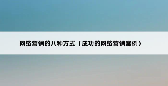 网络营销的八种方式（成功的网络营销案例） 